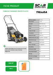 Herbes et entretien - Tondeuses thermiques - Tondeuse thermique tractée TG53TS