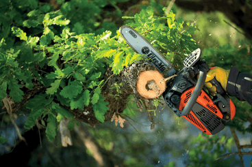 Bois - Tronçonneuses thermique - Tronçonneuse élagueuse thermique GST 360 - 35 cm